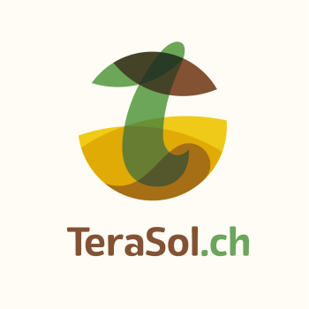 Conception de l'identité visuelle TeraSol, nouvelle PME romande qui valorise les sols